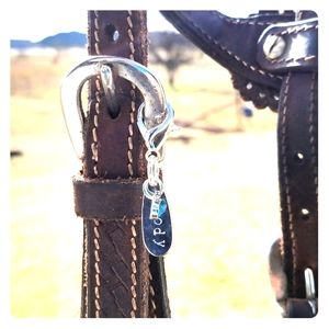 Custom horse halter and bridle charms
